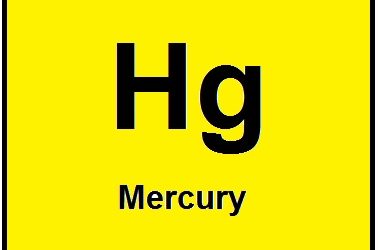 Is Mercury Hurting Your Brain?